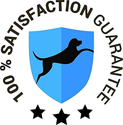 satisfaction
